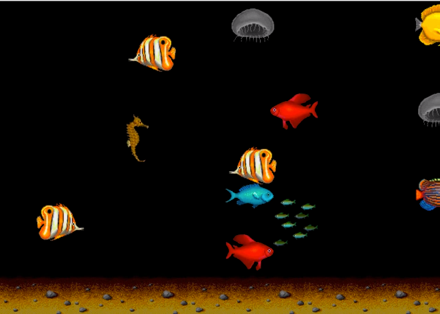 afterdark　fish　画面